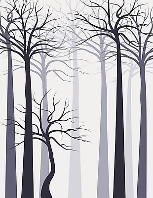 EPS 해외이미지 모양 나무 식물 디자인 계절 공원 실루엣 야생동물 백그라운드 잎 일러스트 자연 추상 미술 풍경 목재 그래픽 장식 여름 세트 환경 정원 검은색 봄 성장 흰색 나뭇가지 신용카드 숲 심볼 사인 그림 에코 유기농 윤곽 내추럴 고립 생태학 엘리먼트 해외202004 해외일러스트 동물 웰빙 공공시설 교육 컬러 무늬 재료 문화예술 촬영기법 금융 생태계 파일형식 벡터