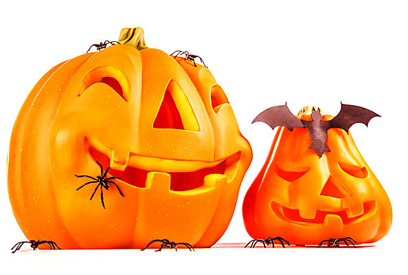 포토 JPG 해외이미지 전통 디자인 계절 음식 백그라운드 채소 호박 미소 웃음 사람없음 장식 빛 노란색 파티 할로윈 가을 흰색 등불 축하 무서움 오브젝트 거미 박쥐 잭 잭오랜턴 호러 오싹 해외202004 해외포토 감정 컬러 곤충 컨셉 포유류 조명 표정 이벤트 공포 파일형식