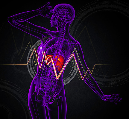 포토 JPG 해외이미지 해부 사람 사람없음 오르간 신장 간 방광 췌장 지라 복부 해외202004 해외포토 의학 신체부위 장기_의학 건반악기 비뇨기관 파일형식