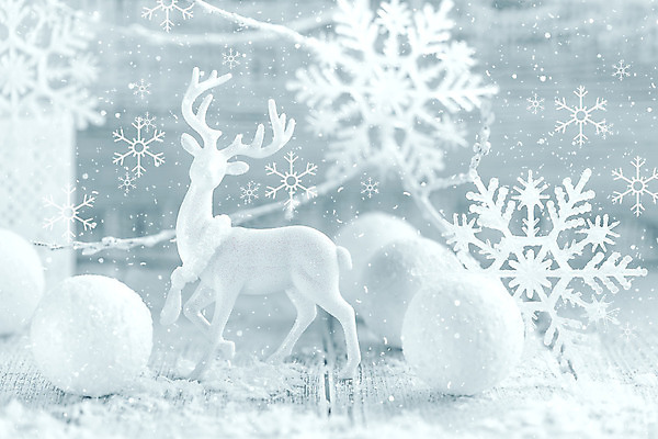 포토 JPG 해외이미지 나무 계절 백그라운드 크리스마스 겨울 공 새로움 기념 매달리기 선물 사람없음 장식 빛 반짝임 축제 장식볼 흰색 눈송이 우아함 은색 12월 해외202004 해외포토 식물 기념일 컬러 컨셉 모션 눈_날씨 날짜 파일형식