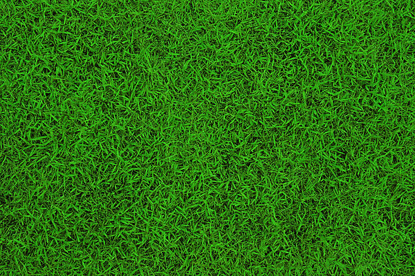 포토 JPG 해외이미지 식물 공원 길 선 스포츠 백그라운드 패턴 밭 자연 표면 바닥 잔디 초원 사람없음 야외 초록색 여름 환경 축구 경기장 봄 줄무늬 성장 게임 흰색 놀이터 자르기 유기농 질감 골 땅바닥 해외202004 해외포토 웰빙 계절 공공시설 컬러 무늬 농업 스포츠시설 모션 놀이 구기 생태계 파일형식