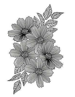 EPS 해외이미지 식물 손 디자인 꽃 실루엣 꽃다발 결혼 백그라운드 잎 꽃무늬 패턴 일러스트 자연 프레임 미술 초원 여러명 그래픽 장식 여름 세트 정원 페인트 봄 낭만 들꽃 수확 벚꽃 나뭇가지 축하 신용카드 클래식 인쇄 스케치 천 그림 초대 손그림 내추럴 고립 국경 해외202004 해외일러스트 나무 계절 다수 컨셉 무늬 농업 문화예술 촬영기법 사람 이벤트 신체부위 금융 직물 생태계 파일형식 벡터