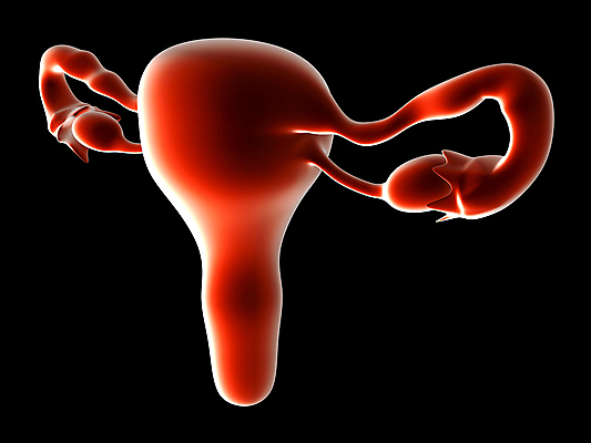포토 JPG 해외이미지 여자 과학 신체 일러스트 해부 사람 사람없음 그래픽 약 3D 디지털 검은색 오르간 심볼 만들기 시스템 자궁 고립 해외202004 해외포토 컬러 의학 모션 장기_의학 건반악기 디지털합성 파일형식