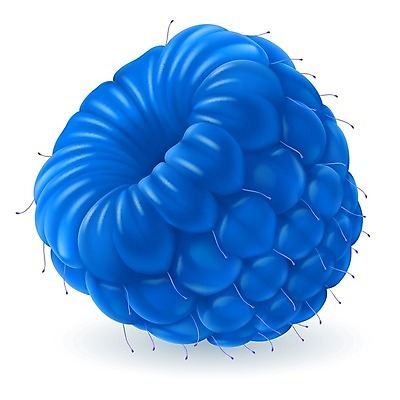 EPS 해외이미지 식물 열매 음식 과일 일러스트 자연 디저트 건강 실험 그래픽 여름 파란색 빛 농작물 농장 라벨 수확 신선 독약 맛 오브젝트 싱글 그림 합성 산딸기 비타민 거짓 고립 발생 숙성 유전 유전자변형 맛있는 해외202004 해외일러스트 계절 컬러 컨셉 농업 프레임 생태계 영양소 파일형식 벡터