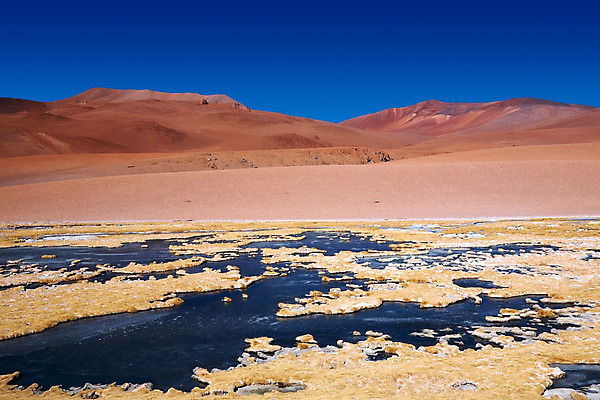 포토 JPG 해외이미지 호수 모래 여행 자연 바람 산 건조 이끼 풍경 사람없음 야외 가로 물 강 냉동 얼음 미국 사막 추위 자유 황무지 플랫 가장자리 고독 언덕 소금 지역 칠레 남쪽 석호 웅장함 터키석 해외202004 해외포토 자연요소 감정 컨셉 북아메리카 날씨 남아메리카 둘레 보석 방향 생태계 파일형식