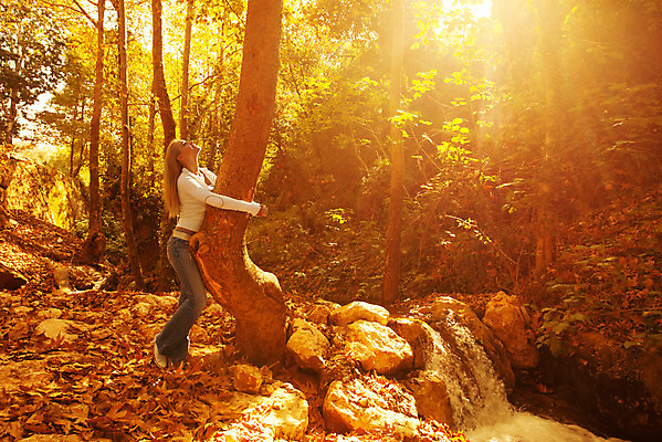 포토 JPG 해외이미지 나무 백인 모델 계절 공원 여자 행복 포옹 자연 휴가 휴식 미소 사람 야외 두명 목재 빛 햇빛 태양 노란색 정원 맑음 기쁨 가을 숲 해외202004 해외포토 자연요소 서양인 식물 공공시설 감정 컬러 컨셉 재료 안기 날씨 표정 생태계 파일형식