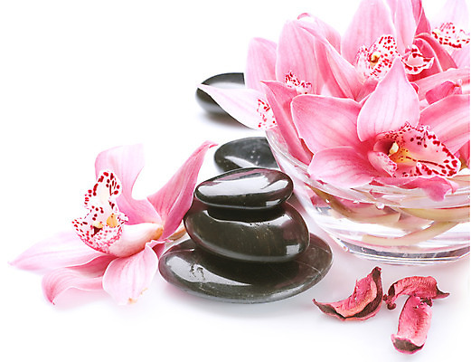 포토 JPG 해외이미지 꽃 분홍색 백그라운드 컨셉 사람없음 물 쌓기 검은색 스파 조약돌 흰색 마사지 난초 오브젝트 테라피 해외202004 해외포토 자연요소 식물 컬러 모션 뷰티 돌_바위 파일형식