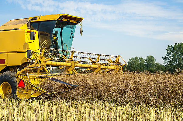포토 JPG 해외이미지 산업 밭 농업 씨앗 풍경 초원 사람없음 야외 농작물 농장 농경지 수확 추수 가을 밀 트랙터 밀짚 밭일 호밀 해외202004 해외포토 식물 계절 곡류 짚 농기계 특수차량 파일형식