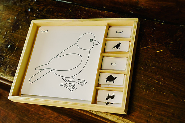 포토 JPG 해외이미지 동물 학생 응시 교육 해부 학교 자연 사람없음 신체부위 학습 놀이방 호기심 박물관 생물학 해외202004 해외포토 시선 감정 컨셉 의학 사람 생태계 파일형식