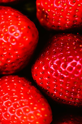 포토 JPG 해외이미지 라이프스타일 계절 열매 음식 백그라운드 과일 자연 딸기 디저트 건강 사람없음 빨간색 농장 신선 그룹 달콤 먹기 유기농 날것 숙성 채식주의자 많음 맛있는 해외202004 해외포토 식물 웰빙 컬러 컨셉 농업 모션 생활 맛 생태계 채식 파일형식