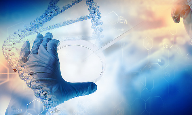 포토 JPG 해외이미지 모양 모델 디자인 과학 백그라운드 패턴 추상 프레임 세포 항해 실험 미술 사람 사람없음 그래픽 컴퓨터 약 잡기 진화 DNA 생명공학 심볼 시험관 유기농 생물학 원자 염색체 튜브 공식 바이오 신맛 해외202004 해외포토 웰빙 교육 무늬 배_교통 의학 모션 문화예술 실험기구 전자제품 맛 소방 파일형식