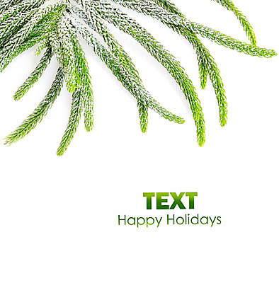 포토 JPG 해외이미지 나무 식물 전통 디자인 계절 백그라운드 크리스마스 겨울 자연 추상 휴가 새로움 프레임 사람없음 장식 초록색 크리스마스트리 공백 흰색 나뭇가지 축하 신선 소나무 화려 모서리 닫기 연도 상록수 침엽수 전나무 내추럴 고립 엘리먼트 가문비나무 국경 해외202004 해외포토 기념일 컬러 컨셉 무늬 모션 생태계 파일형식