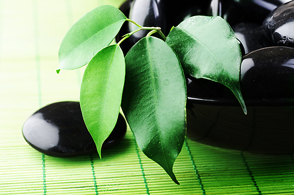 포토 JPG 해외이미지 백그라운드 컨셉 사람없음 물 쌓기 검은색 스파 젖음 조약돌 마사지 해외202004 해외포토 자연요소 컬러 모션 돌_바위 파일형식