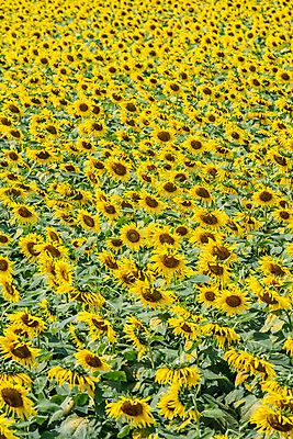 포토 JPG 해외이미지 직업 산업 백그라운드 패턴 사람없음 건물 금속 바 땅 시멘트 철사 건축업자 철강 콘크리트 해외202004 해외포토 건축물 건축 무늬 재질 파일형식