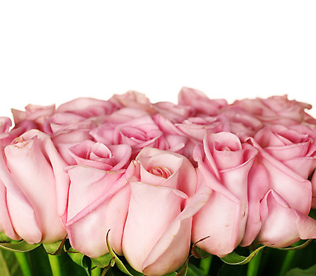 포토 JPG 해외이미지 디자인 꽃잎 꽃 줄기 분홍색 꽃다발 결혼 백그라운드 컨셉 잎 꽃무늬 패턴 자연 휴가 프레임 발렌타인데이 선물 사랑 사람없음 가로 장미 우주 낭만 흰색 신선 오픈 신용카드 센터 닫기 선택 다발 질감 아로마 S 제비 고립 엘리먼트 스타일 많음 국경 해외202004 해외포토 식물 알파벳 감정 컬러 무늬 모션 데이이벤트 조류 이벤트 금융 생태계 파일형식