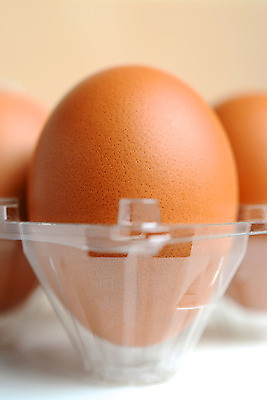 포토 JPG 해외이미지 농업 사람없음 갈색 식사 신선 흰배경 유기농 날것 짐싸기 채식주의자 해외202004 해외포토 웰빙 산업 컬러 백그라운드 흰색 채식 파일형식