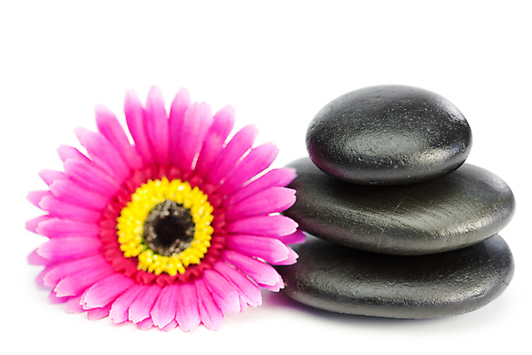 포토 JPG 해외이미지 꽃잎 꽃 분홍색 백그라운드 컨셉 잎 휴식 사람없음 쌓기 검은색 스파 회색 조약돌 흰색 석탑 매끈함 오브젝트 데이지 거베라 테라피 해외202004 해외포토 식물 컬러 모션 뷰티 탑 돌_바위 감각 파일형식