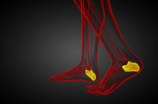 포토 JPG 해외이미지 뼈 골격 건강 사람 사람없음 고통 환자 발목 양발 정형외과 해외202004 해외포토 감정 의학 발 병원 파일형식