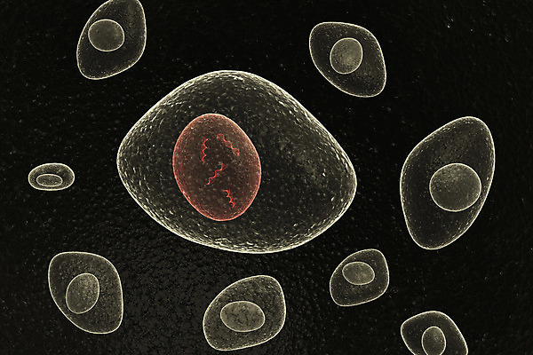포토 JPG 해외이미지 줄기 과학 신체 자연 세포 나선형 사람 사람없음 약 3D 건강관리 확대 질병 DNA 작음 생물학 원자 염색체 암 대칭 예방접종 코딩 해외202004 해외포토 식물 교육 무늬 의학 건강 관리 생명공학 크기 디지털합성 생태계 접종 컴퓨터교육 파일형식