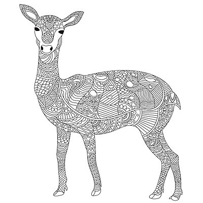 EPS 해외이미지 동물 캐릭터 야생동물 패턴 일러스트 추상 사슴 흑백 성인 낙서 인쇄 만화 스케치 문신 명상 그림 손그림 부족 색칠공부 아즈텍 암사슴 정교 해외202004 해외일러스트 일러캐릭터 컨셉 무늬 포유류 촬영기법 미술 사람 학습 색칠 암컷 파일형식 벡터