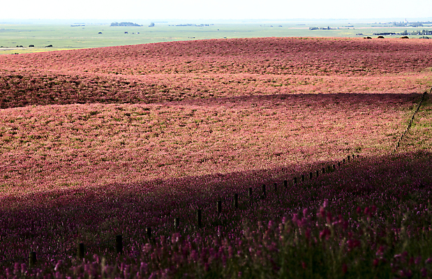 포토 JPG 해외이미지 밭 농업 사람없음 농작물 농장 모임 수확 땅 밭일 해외202004 해외포토 산업 파일형식