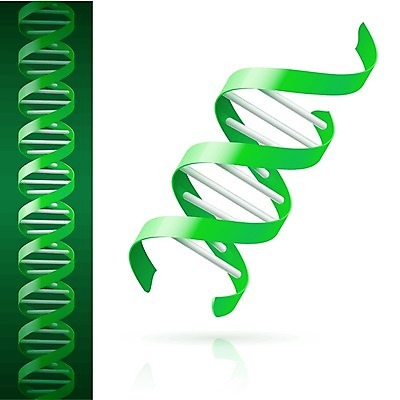 EPS 해외이미지 디자인 과학 백그라운드 일러스트 벽지 프레임 세포 나선형 실험 초록색 스터디 약 소용돌이 흰색 진화 실험실 바이러스 구부린 암호 DNA 생명공학 약국 심볼 분석 사인 염색체 바이오 유전 화학물질 국경 해외202004 해외일러스트 컬러 컨셉 무늬 의학 모션 학습 회오리 화학 소방 파일형식 벡터 교육