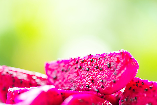 포토 JPG 해외이미지 접시 음식 분홍색 조각 과일 재료 태국 자연 디저트 건강 육류 씨앗 동양인 사람없음 빨간색 보라색 활발 신선 달콤 자르기 먹기 오브젝트 상쾌 유기농 날것 자연백그라운드 비타민 녹색배경 용과 숙성 이국적 개조 맛있는 해외202004 해외포토 식물 식기 웰빙 감정 아시아 컬러 백그라운드 컨셉 식재료 모션 인종 초록색 맛 생태계 영양소 파일형식