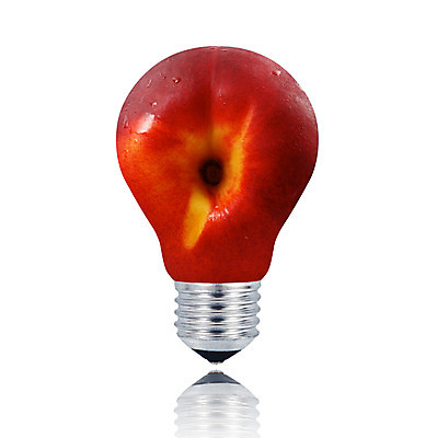 포토 JPG 해외이미지 음식 컨셉 과일 아이디어 사람없음 빛 에너지 흰배경 친환경 유기농 복숭아 고립 생태학 해외202004 해외포토 웰빙 교육 백그라운드 환경 흰색 파일형식