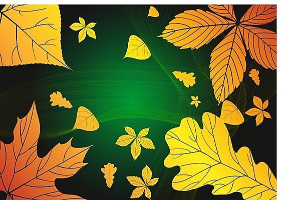 EPS 해외이미지 모양 식물 템플릿 디자인 계절 파도 백그라운드 잎 꽃무늬 패턴 곡선 오렌지 일러스트 자연 벽지 추상 창조 미술 그래픽 장식 빛 컬러풀 노란색 유행 세일 디지털 웹 젖음 에너지 덮개 가을 인사 뜨거움 신용카드 투명 발표 우아함 9월 질감 엽서 강렬 효과 해외202004 해외일러스트 꽃 선 바다 컬러 컨셉 무늬 인터넷 과일 문화예술 금융 뚜껑 예절 날짜 편지 생태계 파일형식 벡터