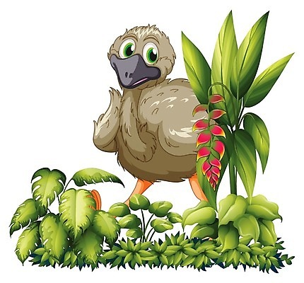 EPS 해외이미지 식물 동물 캐릭터 꽃 분홍색 백그라운드 잎 날개 일러스트 발 조류 오리 그래픽 장식 초록색 정원 회색 흰색 표현 큼 깃털 그림 부리 타조 고립 숨기 엘리먼트 해외202004 해외일러스트 일러캐릭터 컬러 모션 신체부위 크기 파일형식 벡터