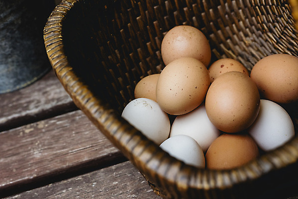 포토 JPG 해외이미지 음식 건강 사람없음 갈색 계란 신선 상품 양동이 유기농 날것 내추럴 해외202004 해외포토 웰빙 컬러 알 파일형식