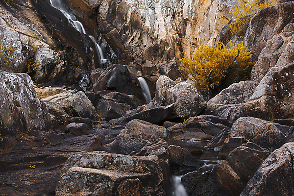 포토 JPG 해외이미지 공원 잎 자연 풍경 사람없음 야외 물 침묵 폭포 신선 호주 떨어짐 내추럴 해외202004 해외포토 자연요소 식물 공공시설 컨셉 소리 오세아니아 생태계 파일형식