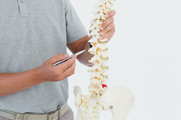 포토 JPG 해외이미지 직업 해부 건강 설명 서기 손짓 사람없음 건강관리 진료 시험 의사 잡기 실험복 작업 전문직 보여주기 돌봄 정형외과 의료성형뷰티 해외202004 해외포토 교육 의학 모션 병원 관리 의료진 가운 파일형식