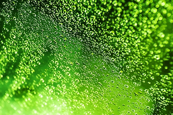 포토 JPG 해외이미지 백그라운드 패턴 목걸이 유리 표면 사람없음 가로 초록색 물 목욕 젖음 촉촉함 물방울 신선 떨어짐 수분 샤워실 해외202004 해외포토 자연요소 컬러 컨셉 무늬 장신구 재질 청결 샤워시설 파일형식