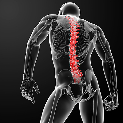 포토 JPG 해외이미지 실루엣 포즈 일러스트 뼈 골격 엑스레이 건강 사람없음 파란색 3D 척추 몸통 염증 요통 해외202004 해외포토 컬러 의학 촬영기법 신체부위 질병 디지털합성 허리통증 파일형식