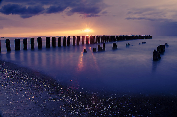 포토 JPG 해외이미지 바다 백그라운드 자연 갈매기 하늘 풍경 사람없음 빨간색 빛 햇빛 태양 노란색 일출 황혼 일몰 수평선 해외202004 해외포토 자연요소 컬러 조류 노을 생태계 파일형식