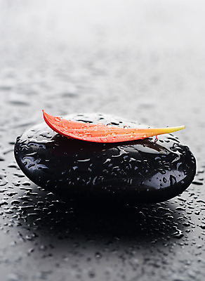 포토 JPG 해외이미지 꽃잎 꽃 백그라운드 컨셉 사람없음 빨간색 물 쌓기 검은색 스파 젖음 조약돌 마사지 매끈함 테라피 해외202004 해외포토 자연요소 식물 컬러 모션 뷰티 돌_바위 감각 파일형식