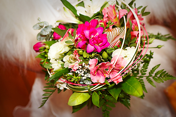 포토 JPG 해외이미지 드레스 옷 여자 꽃 꽃다발 결혼 신혼부부 결혼식 관리 사랑 사람 정장 사람없음 초록색 보라색 재킷 흰색 축하 잡기 가운 우아함 선택 백합 다발 배열 부드러움 해외202004 해외포토 식물 부부 감정 컬러 컨셉 모션 이벤트 외투 감각 신혼 파일형식