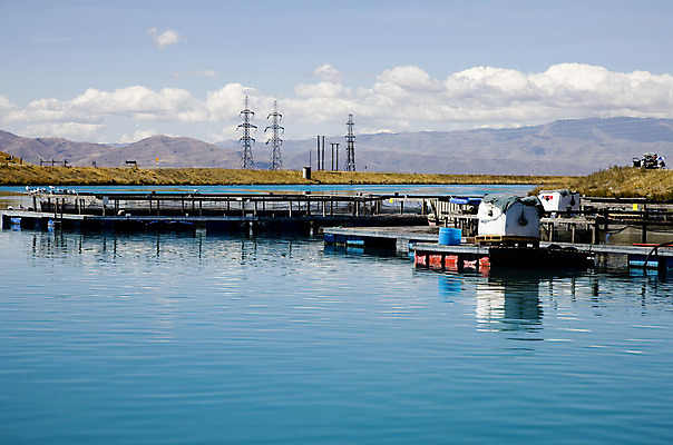 포토 JPG 해외이미지 풍경 사람없음 파란색 강 농장 환경 순수 유지 생태학 해외202004 해외포토 교육 컬러 컨셉 농업 파일형식