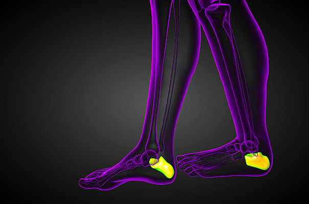 포토 JPG 해외이미지 뼈 골격 건강 사람 사람없음 고통 환자 발목 양발 정형외과 해외202004 해외포토 감정 의학 발 병원 파일형식