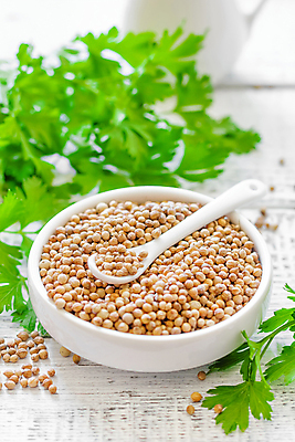 포토 JPG 해외이미지 식물 음식 백그라운드 잎 농업 재료 건조 파슬리 요리 씨앗 사람없음 목재 초록색 농장 갈색 바구니 주방 중국 흰색 시골 신선 양념 조미료 사발 닫기 맛 가루 인도인 다발 허브 묘사 보따리 유기농 매움 날것 향기 아로마 향료 향 밭일 해외202004 해외포토 외국인 나무 웰빙 산업 아시아 컬러 컨셉 채소 모션 동양인 사기그릇 냄새 향미료 파일형식