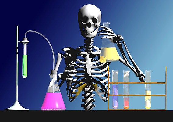 JPG 직업 과학 일러스트 뼈 해골 실험기구 실험 사람없음 컴퓨터그래픽 3D 기구 도구 화학 장기 연구원 근골격기관 플라스크 시험관 용액 휴먼 국내일러스트 신체 그래픽 장기_의학 디지털합성 파일형식
