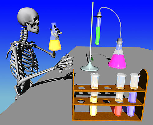 JPG 직업 과학 일러스트 뼈 해골 실험기구 실험 사람없음 컴퓨터그래픽 3D 기구 도구 화학 장기 연구원 근골격기관 플라스크 시험관 용액 휴먼 국내일러스트 신체 그래픽 장기_의학 디지털합성 파일형식