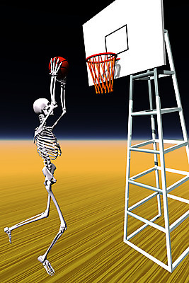 JPG 스포츠 일러스트 뼈 해골 농구 농구공 사람없음 컴퓨터그래픽 3D 구기 장기 근골격기관 농구대 휴먼 국내일러스트 신체 공 그래픽 장기_의학 골대 디지털합성 파일형식