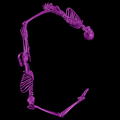 JPG 문자 기호 알파벳 영어 일러스트 의학 뼈 해골 사람없음 컴퓨터그래픽 치료 3D 휴먼 C 국내일러스트 그래픽 디지털합성 파일형식