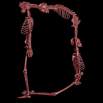 JPG 문자 기호 알파벳 영어 일러스트 의학 뼈 해골 사람없음 컴퓨터그래픽 치료 3D 휴먼 D 국내일러스트 그래픽 디지털합성 파일형식