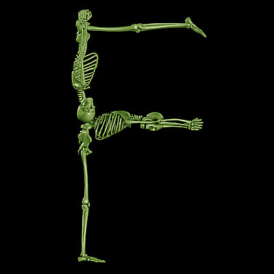 JPG 문자 기호 알파벳 영어 일러스트 의학 뼈 해골 사람없음 컴퓨터그래픽 치료 3D 휴먼 F 국내일러스트 그래픽 디지털합성 파일형식