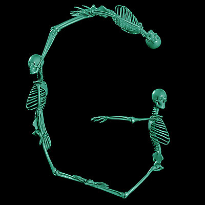 JPG 문자 기호 알파벳 영어 일러스트 의학 뼈 해골 사람없음 컴퓨터그래픽 치료 3D G 휴먼 국내일러스트 그래픽 디지털합성 파일형식