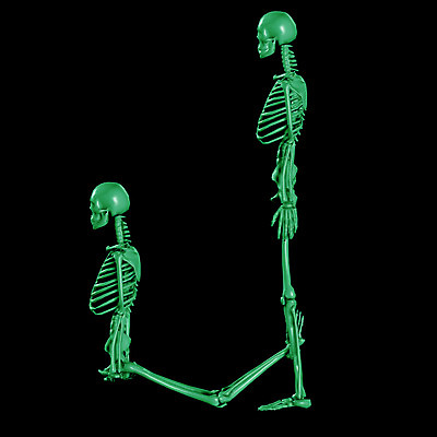 JPG 문자 기호 알파벳 영어 일러스트 의학 뼈 해골 사람없음 컴퓨터그래픽 치료 3D 휴먼 J 국내일러스트 그래픽 디지털합성 파일형식