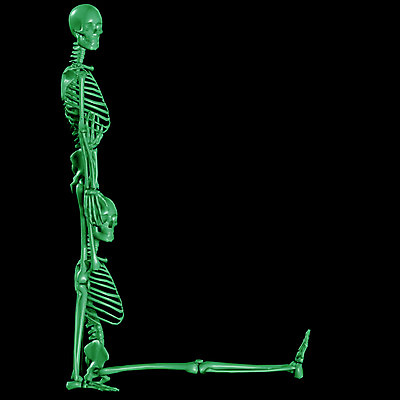 JPG 문자 기호 알파벳 영어 일러스트 의학 뼈 해골 사람없음 컴퓨터그래픽 치료 3D 휴먼 L 국내일러스트 그래픽 디지털합성 파일형식